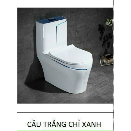 BỒN CẦU KHỐI CAO CẤP TRẮNG VIỀN XANH TC-1C102