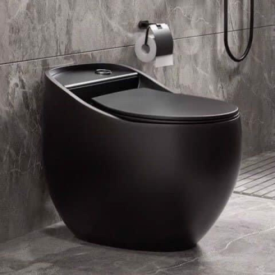 BỒN CẦU TRỨNG LIỀN KHỐI CAO CẤP MÀU ĐEN